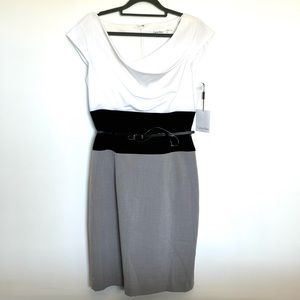Calvin Klein NWT belted sheath dress with short sleeves